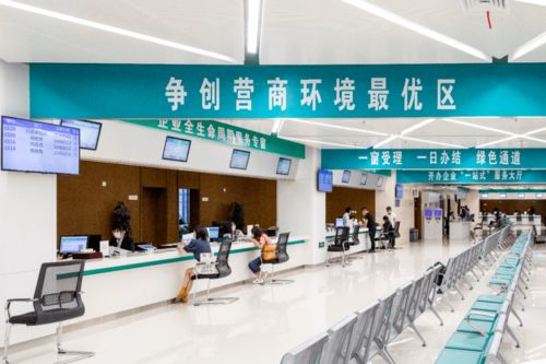 打造'溧即辦'黨建新品牌，讓服務(wù)窗口成為'人心窗口'